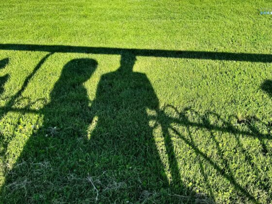 date day june