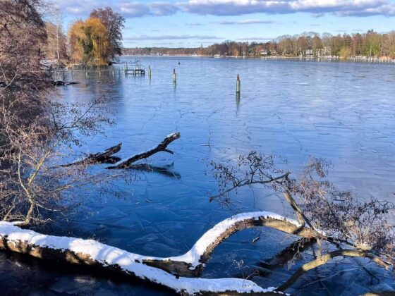12telBlick_February coffee date
