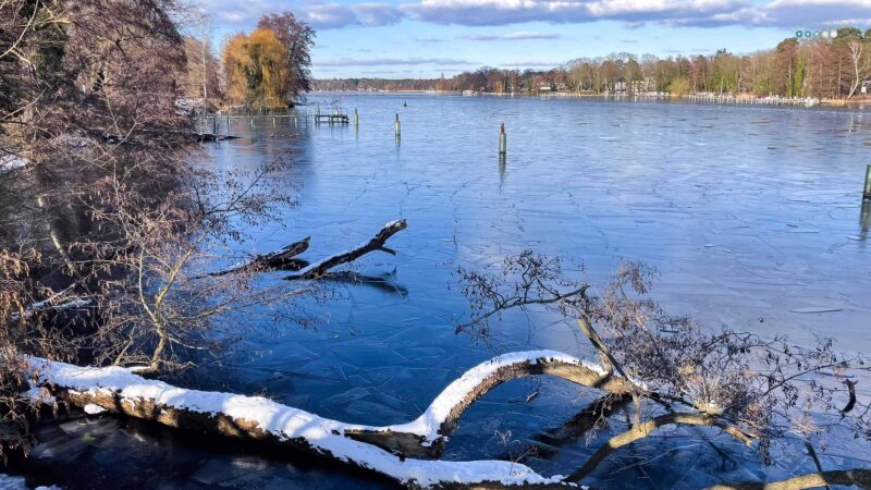 12telBlick_February coffee date