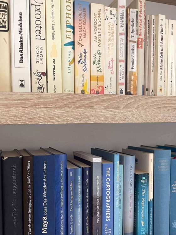 book talk January – shelf of books with blue and white covers