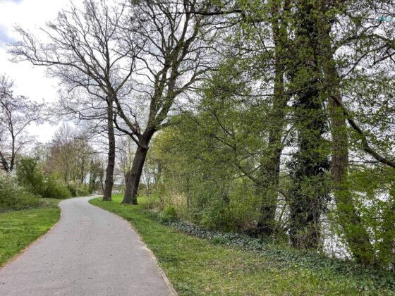 a walk way along the river with green trees on the side