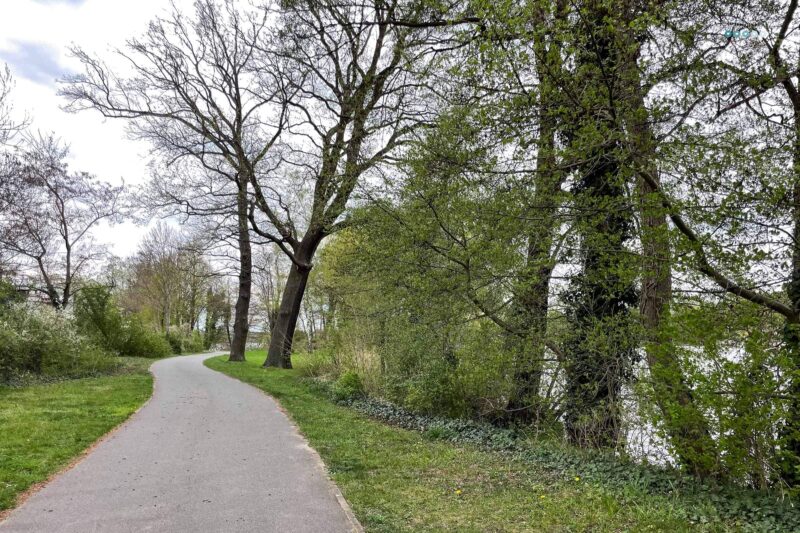 a walk way along the river with green trees on the side