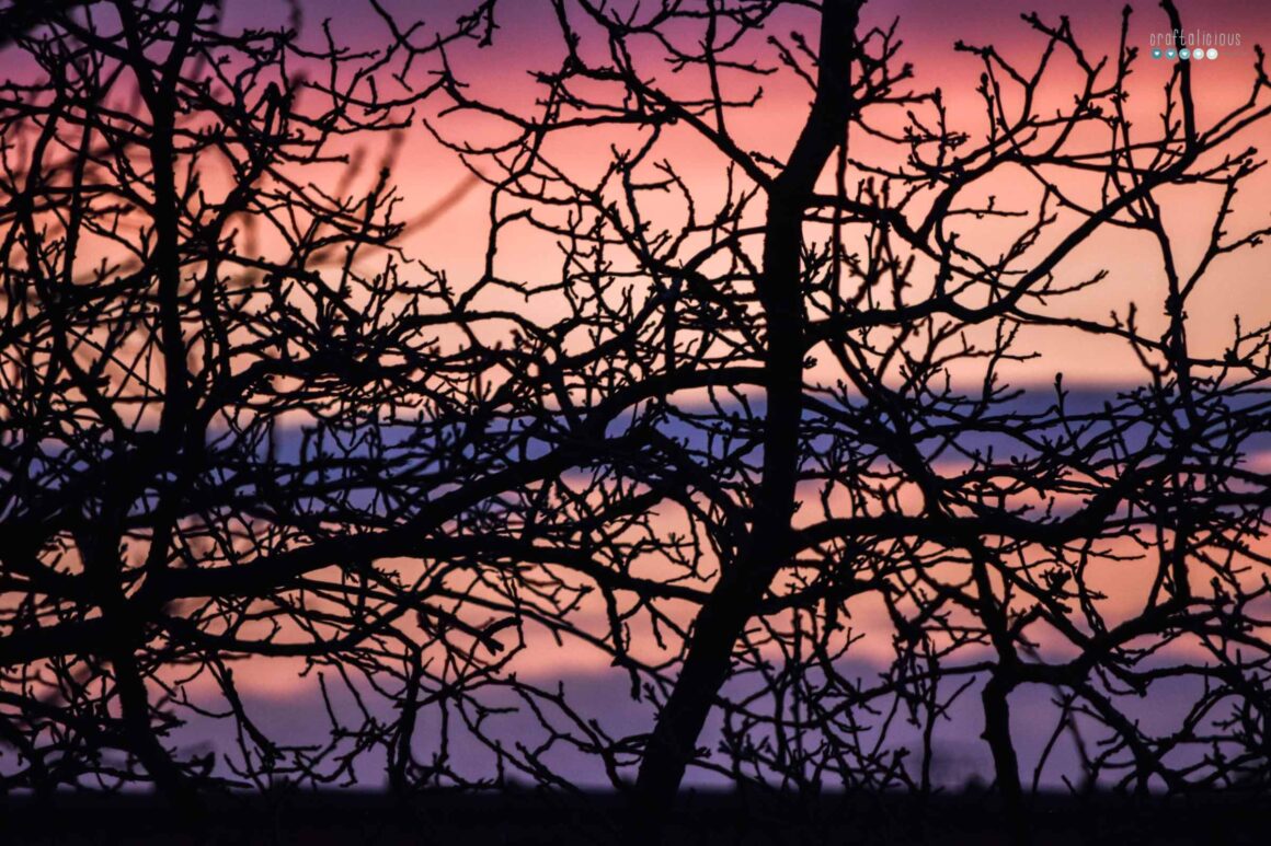 TREASURES – Spotted Photo Challenge purple pink sunset