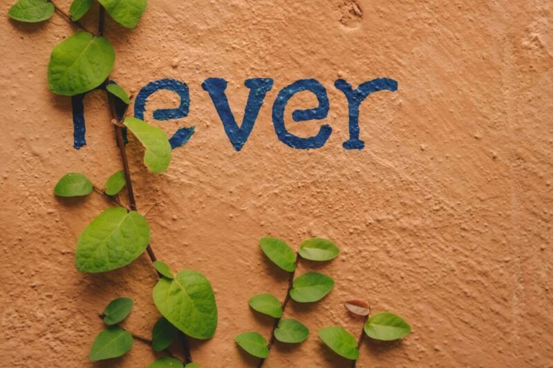 never ever_ photo by Nguyễn Hiệp through Unsplash