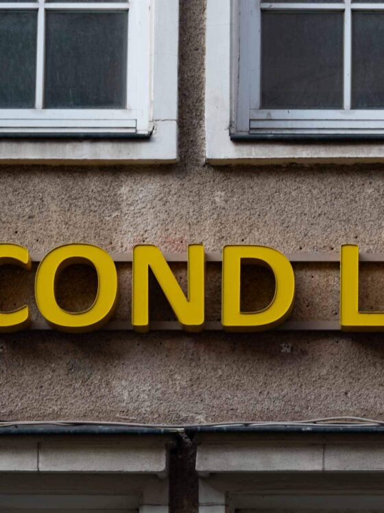 all the things that need replacing neon sign reading "second life"