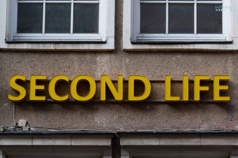 all the things that need replacing neon sign reading "second life"