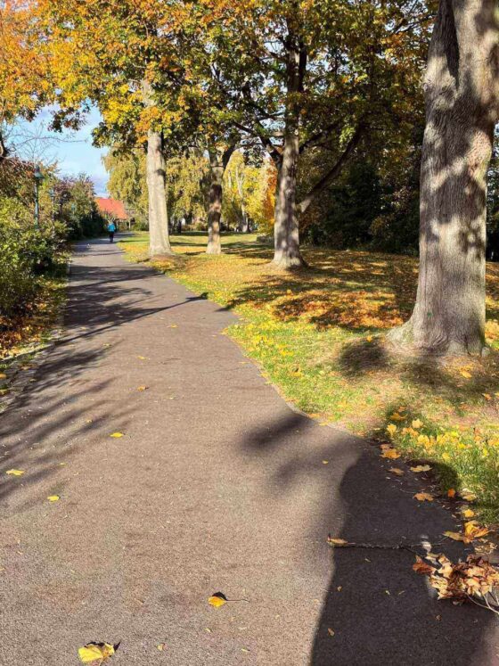 fall walk with bright sunshine, shadow of person