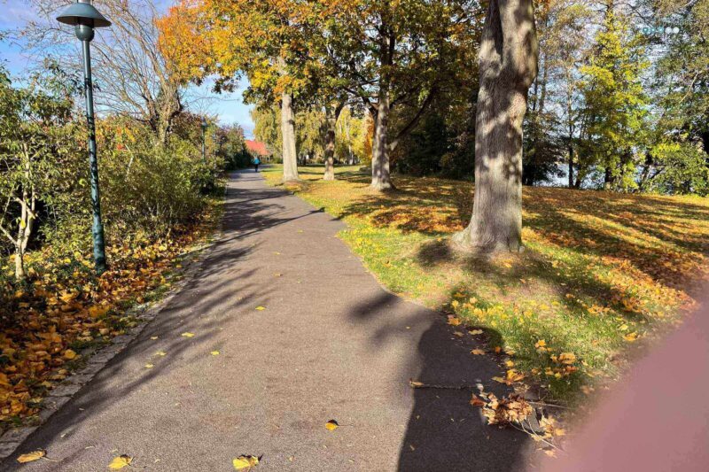 fall walk with bright sunshine, shadow of person