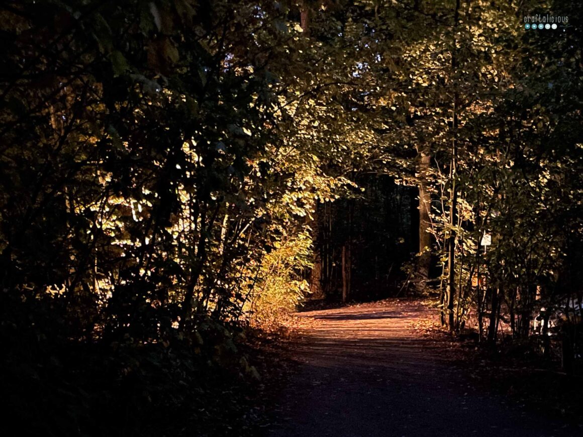 the woods at dusk, foliage from tunnel lit by street lamp