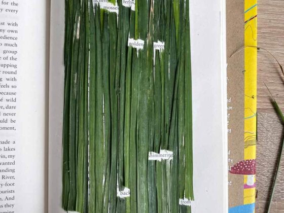 blackout poetry wordless wednesday