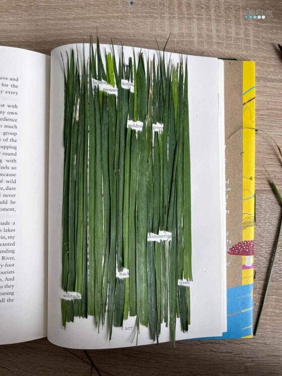 blackout poetry wordless wednesday