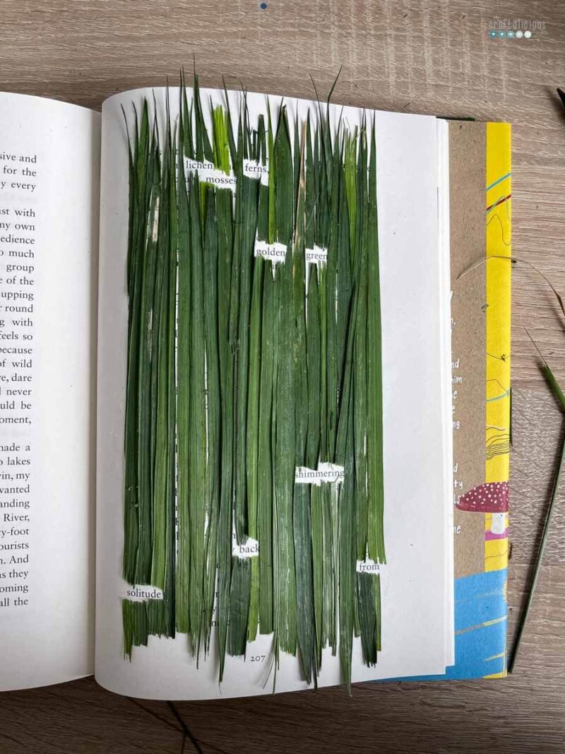 blackout poetry wordless wednesday