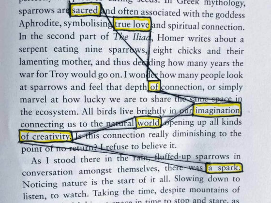 blackout poetry wordless wednesday