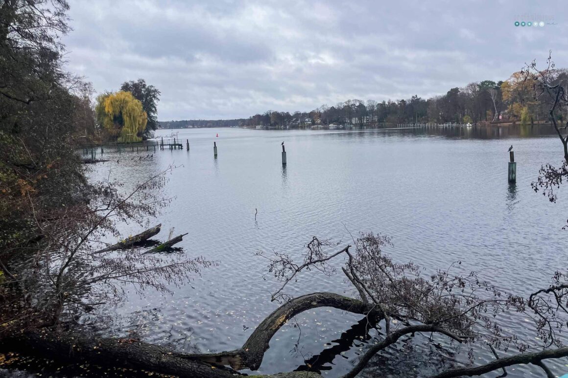 12tel Blick November