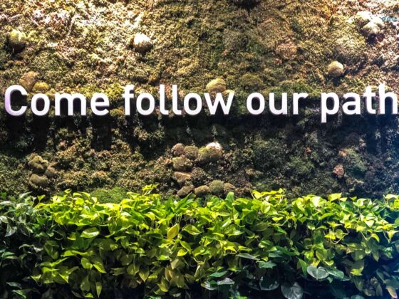 5 Instagrams I unfollowed