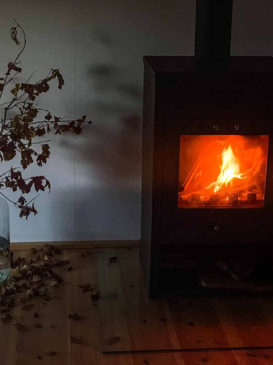 cozy fireplace in the semi dark to the left a vase with fallen leaves