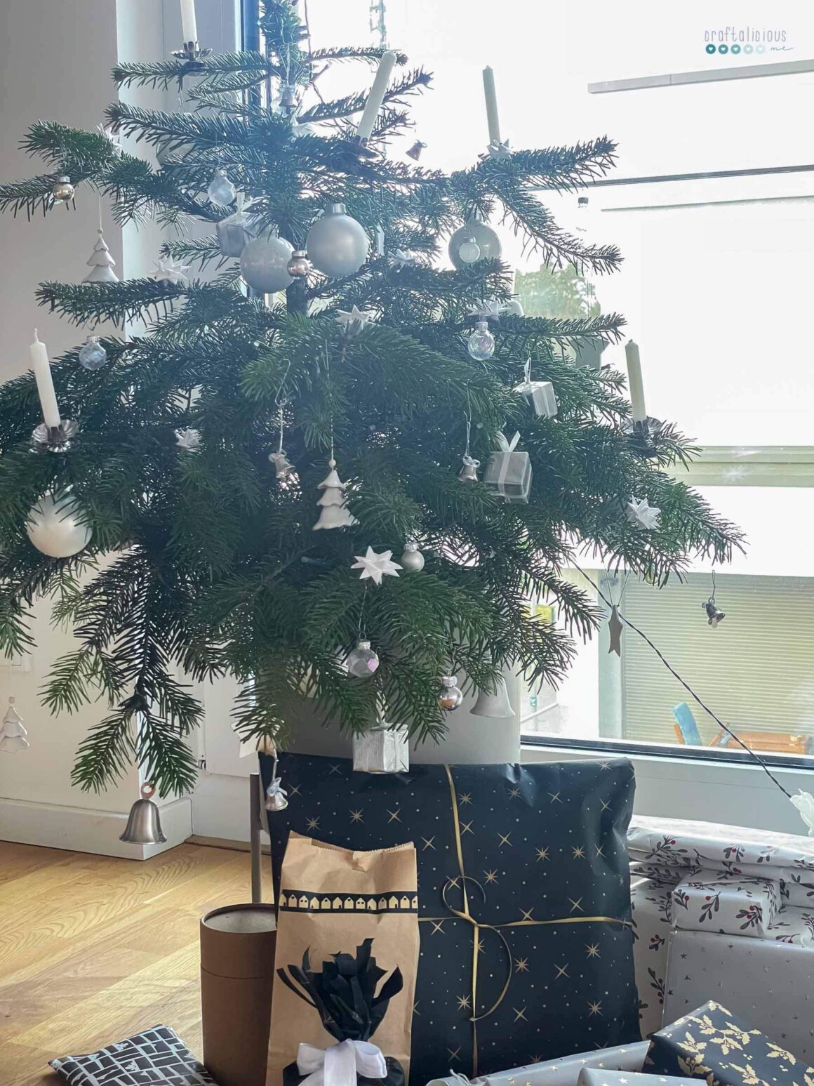 Christmas tree in pot