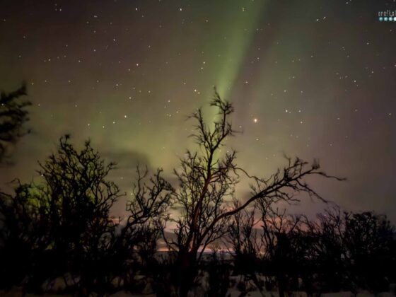 Arctic Adventure Polar Lights