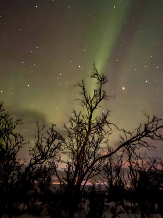 Arctic Adventure Polar Lights