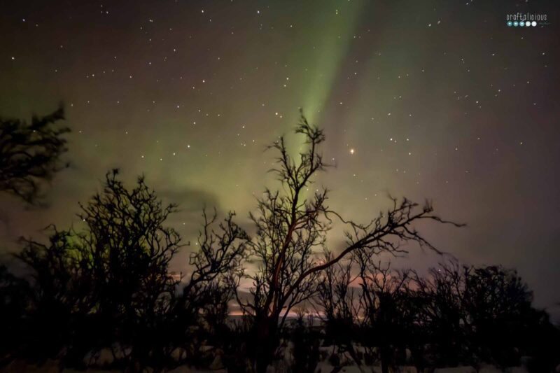 Arctic Adventure Polar Lights