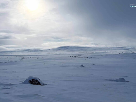 My Arctic Adventure landscape Swedish Sampiland