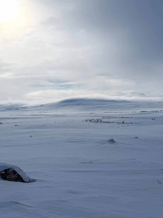My Arctic Adventure landscape Swedish Sampiland