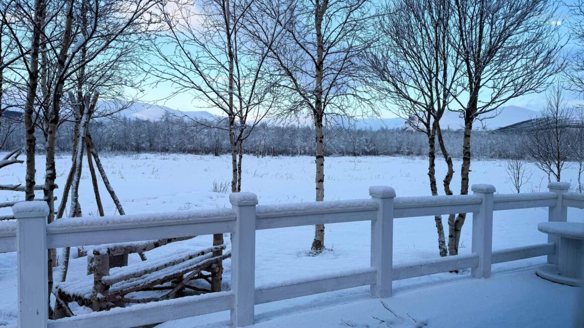 MyArcticAdventure_snowy morning