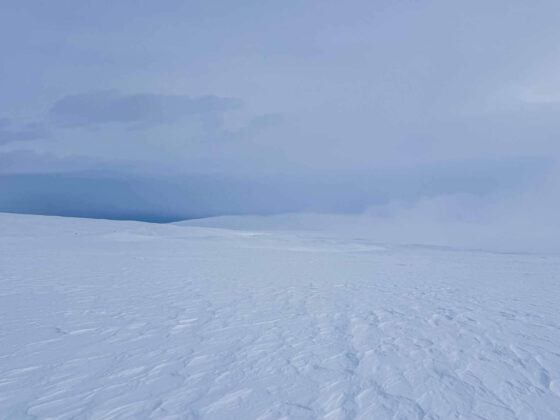 My ArcticAdventure everything is white