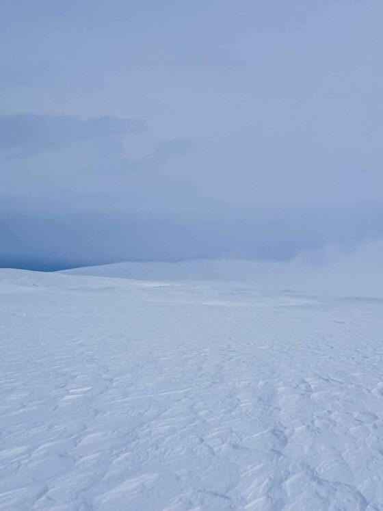 My ArcticAdventure everything is white