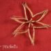 star of pine needles